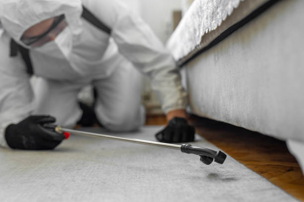 Professional Termite Control technician working in Gilbert, IA
