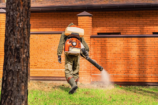 Trusted Rodent Control service in Gilbert, IA - Nex Pest Control